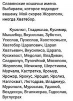 Хотите сказать, у славян были только коты? Где кошачьи имена?)) Или в древние патриархальные времена кошкам имена положены не были.... 

П.С. Я уже порядком задолбался подбирать оригинальную кличку своей кошатине.