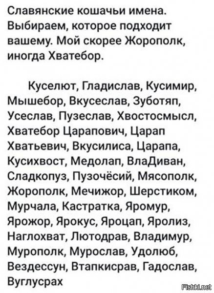 Хотите сказать, у славян были только коты? Где кошачьи имена?)) Или в древние патриархальные времена кошкам имена положены не были.... 

П.С. Я уже порядком задолбался подбирать оригинальную кличку своей кошатине.