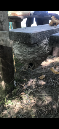 В июле домик сфотографировал.