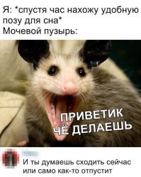 Прикольные и смешные картинки