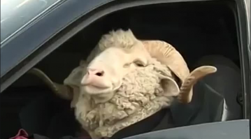 Быстрый, дерзкий, как пуля резкий