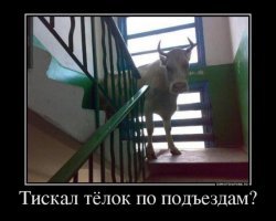 Что значит не те?

.
