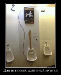 Подборка странных и сюрреалистических туалетов