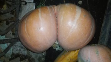 Веселые и забавные демотиваторы на понедельник  