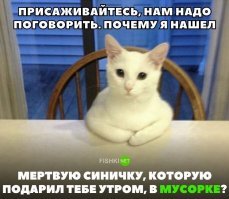 Прикольные и смешные картинки