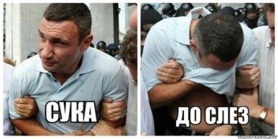 Прохожий спас щенка, который выл от горя и отказывался покидать сбитого машиной друга