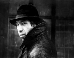 В Ульяновской области охотникам разрешат отстреливать бездомных кошек и собак