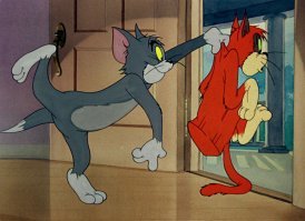 Ночные приключения паранормального кота