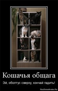 Прикольные и смешные картинки