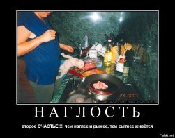 Образ рыжего кота в демотиваторах