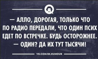 Автомобилистка пыталась проехать по "встречке" в тоннеле, а потом решила сбежать