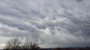 Приднестровье, Григориопольский район. 16 марта 2019 года