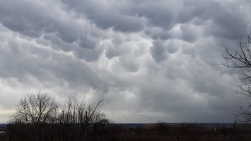 Приднестровье, Григориопольский район. 16 марта 2019 года