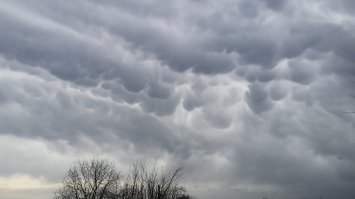 Приднестровье, Григориопольский район. 16 марта 2019 года
