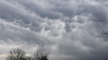 Приднестровье, Григориопольский район. 16 марта 2019 года