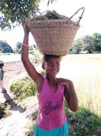 По поводу футбола. Ребятишки играют вот такими мячиками. Привез нормальный, детский мячик. Старший сразу утащил его к себе. Потом объяснил, что у одного пацаненка скоро будет день рождения, вот ему и подарят. Все равно играют все вместе. 
не удержался, добавляю еще пару фото. Девочке 11 лет. В поле работают всей семьей. Вспомнил себя у бабушки в деревне, с лопатой и мешком картохи на посадке. Как же я ненавидел эту трудотерапию. Тут (на Мадагаскаре) работают всей семьей, у каждого свои обязанности. Работая поют, и улыбаются. "дикие" люди. Понимаю, что нам "беложопым", очень многому есть чему поучиться у аборигенов.