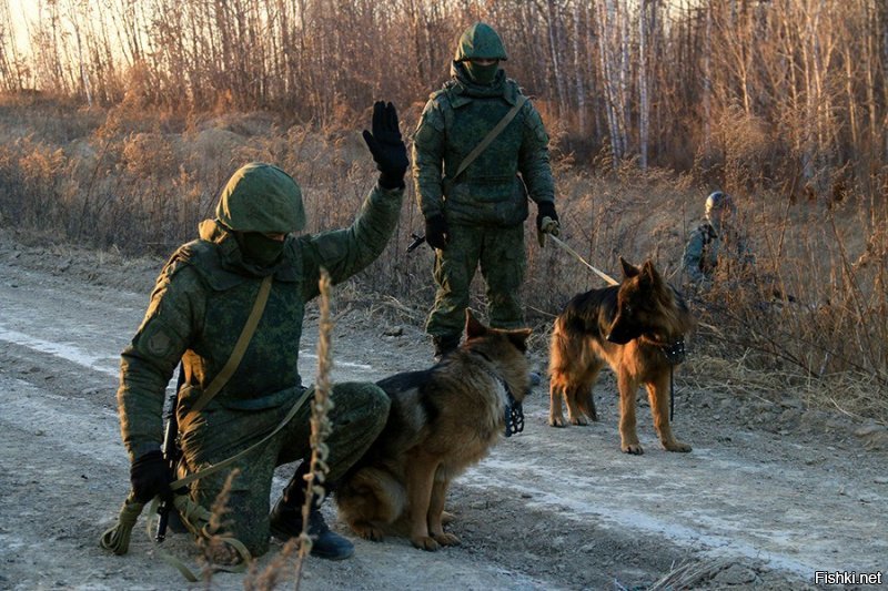 Что, автор, и ни одной фотки собак в российских спец. службах не нашлось? А наши служебные собачки считаются чуть ли не лучшими в мире (по подготовке, есесно)... Ну дык я те накидаю...