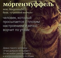 а у мужиков по утрам МОРГЕНФЛАГШТОК?