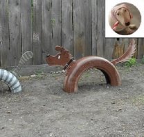 Фишкане глазами ландшафтного дизайнера ЖКХ