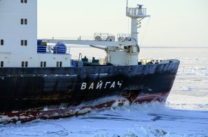 Вайгач .За сутки до оговоренного выше ....