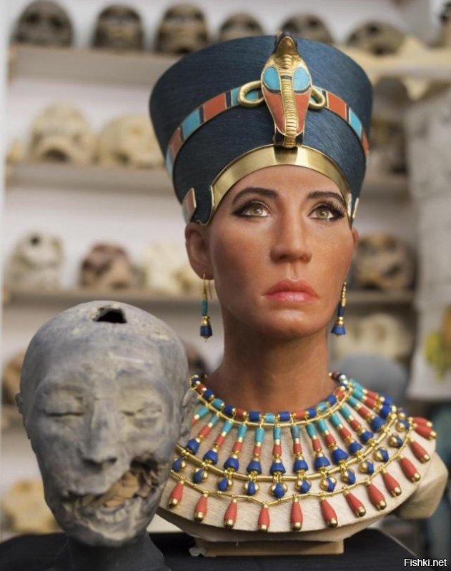 Реконструкция настоящего облика царицы Нефертити...