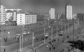 А где деревья? Какая-то каменная пустыня! Не хотел бы я жить здесь.....