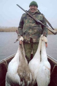 Во многих странах охота на лебедя разрешена, а в Австралии даже поощряется (лебеди расплодились и уничтожают в водоёмах местные растения .
Лебедь вполне съедобный дикий гусь.
