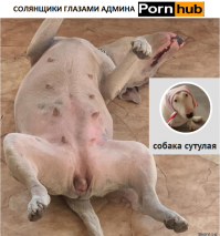 Кстати... я же Сутулой ответку делал:)