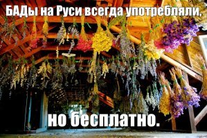 Специалисты рассказали, нужны ли людям для здоровья БАДы