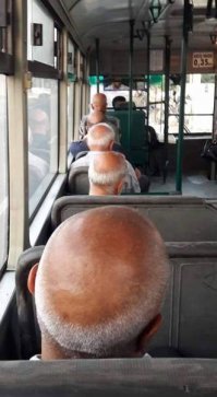 Их дедушки.....