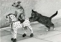 Грету Тунберг высмеяли в интернете за ее просьбу о помощи