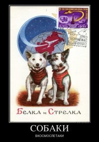 Ну как такой пост не лайкнуть?

То ли еще было...
.