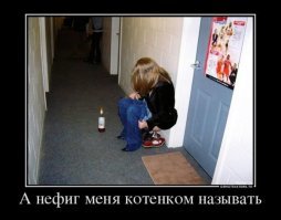 Невероятные ситуации, к которым нас не готовила жизнь