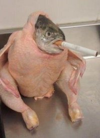 к первой фото