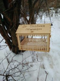 Вот здесь что не так? Ребенок с родителями сделали кормушку, ну да, подписал ребенок, и да, он потом этим гордится.