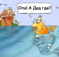 15 горемык, у которых все дела максимально пошли не по плану