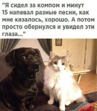 Пост о дружбе