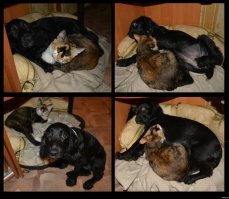 Пост о дружбе