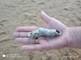 А я нашла, как-то, вот такую коралловую "трубочку", но, правда в Красном море...Коралловые рифы - это потрясающая красотища! Особенно незабываемый восторг испытывают все, кто погружается под воду впервые и видит глубину морского дна и его причудливых обитателей