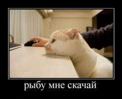Расскажи мне, что такое договор
