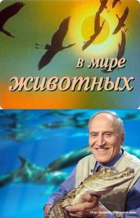 Толпа дагестанцев пришла к отелю Макгрегора в Москве, чтобы защитить Нурмагомедова