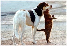 Пост о дружбе