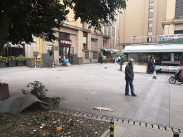 15 кадров из серии "Только в Китае"