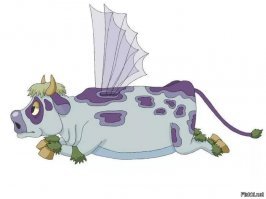 15 горемык, у которых все дела максимально пошли не по плану