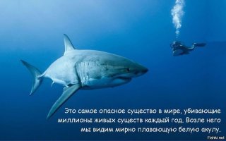 10 смертельно опасных созданий, которых вы зря считали безобидными