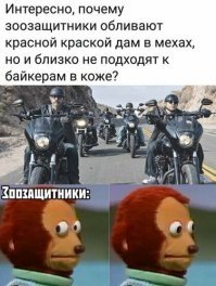 Была же тут история про зоозащиткиков, которые на байкерский слёт приперлись...
