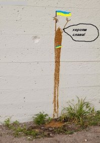 15 горемык, у которых все дела максимально пошли не по плану