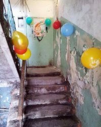 Как можно довести до такого? От одного вида тошнит.