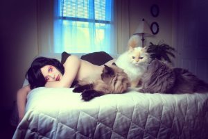 25 иллюстраций, которые показывают забавную жизнь с кошками