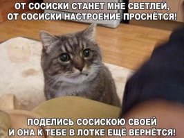 Смешные и откровенные демотиваторы. Подними себе настроение!